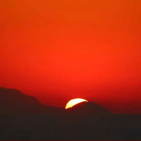 Dp